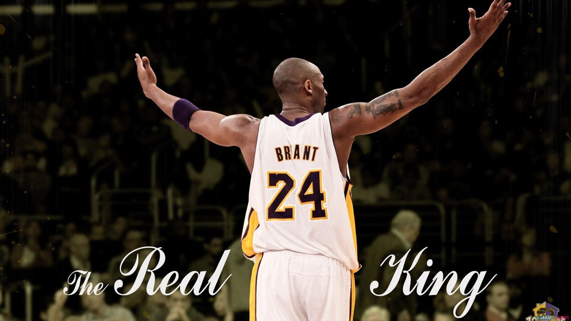 灰熊队战术调整迎来转机，连续获胜，灰熊队介绍