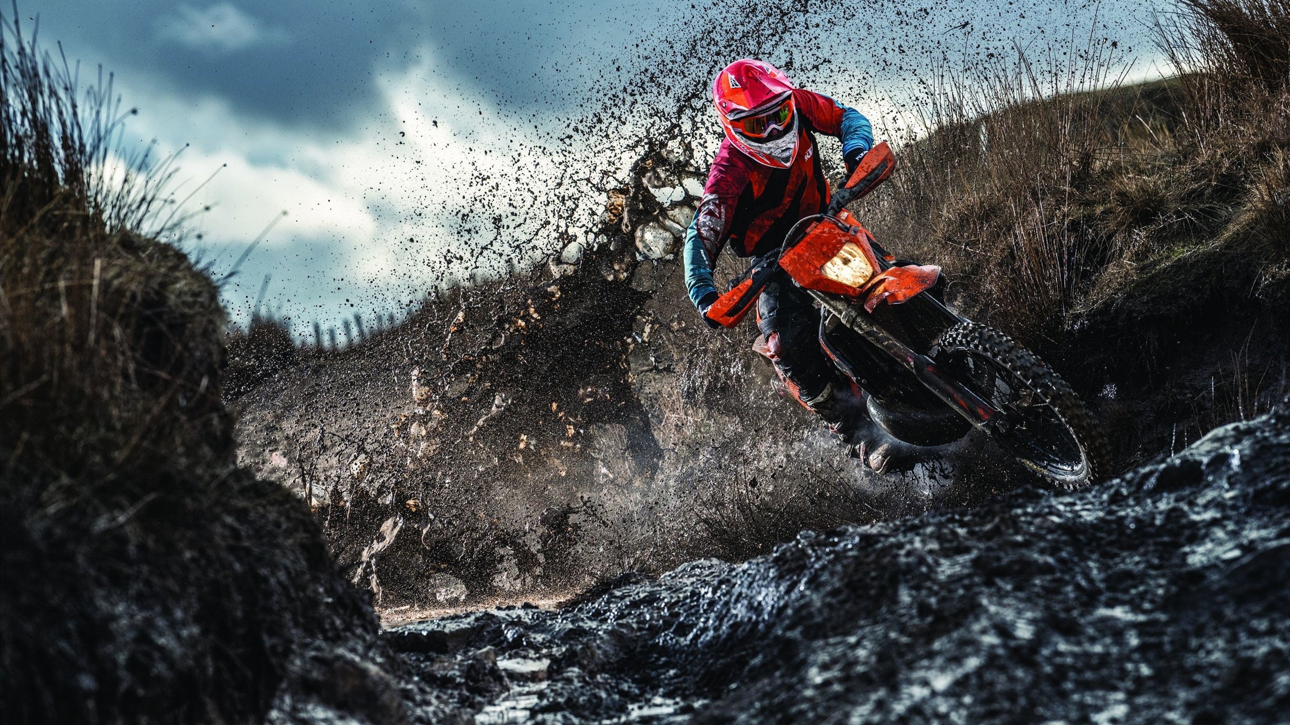 解说点评:专家眼中的比赛亮点,比赛解说的作用